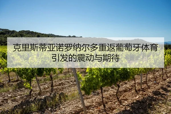 克里斯蒂亚诺罗纳尔多重返葡萄牙体育引发的震动与期待
